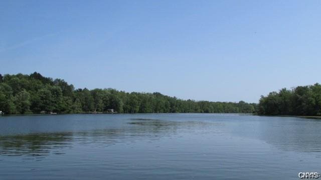243T-LOT Becketts Ln, Onondaga, NY 13215 - photo 18