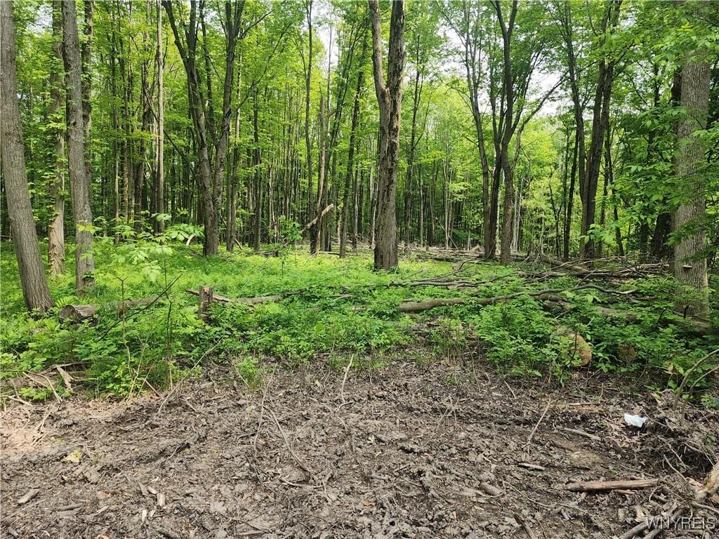 Lake Shore Rd, Evans, NY 14006 - photo 1