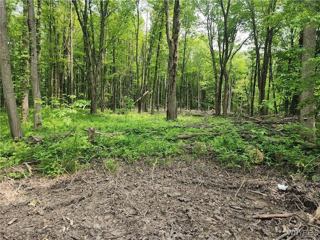 Lake Shore Rd, Evans, NY 14006 - photo 1
