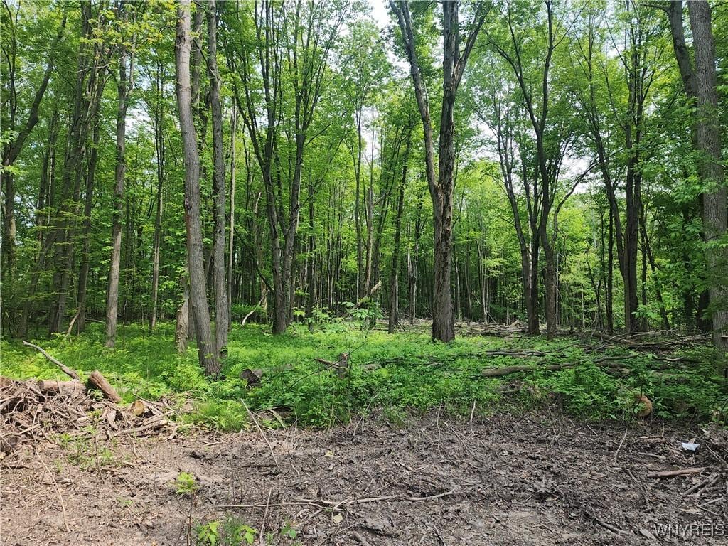 Lake Shore Rd, Evans, NY 14006 - photo 2
