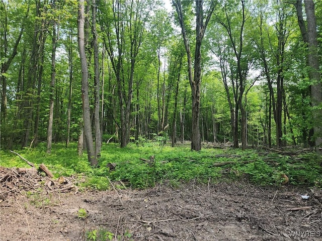 Lake Shore Rd, Evans, NY 14006 - photo 2