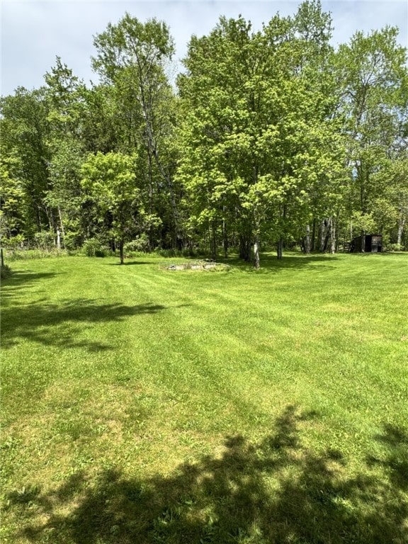 18 Memorial Dr, Otto Twp, PA 16729 - view of green lawn with a wooded view