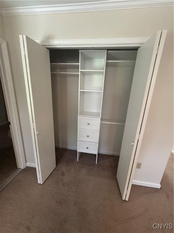 442 Summerhaven Dr N, Manlius, NY 13057 - view of closet