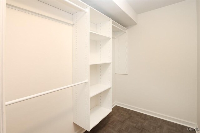 442 Summerhaven Dr N, Manlius, NY 13057 - view of spacious closet
