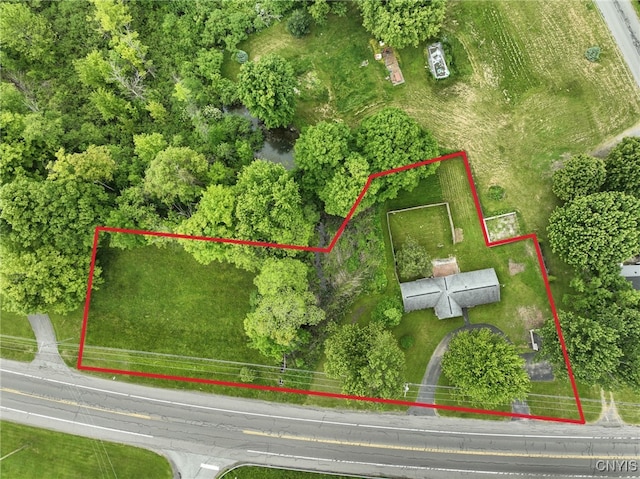 2484 State Route 31, Sullivan, NY 13032 - view of property location with property boundaries highlighted
