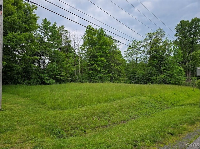 2484 State Route 31, Sullivan, NY 13032 - view of yard