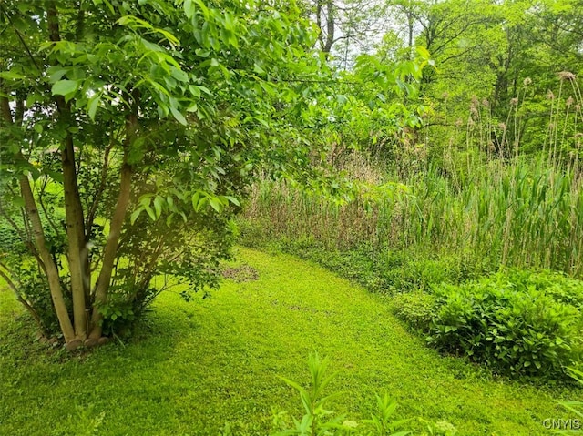 2484 State Route 31, Sullivan, NY 13032 - view of yard