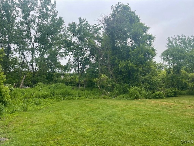 530 Lenox Ave, Oneida, NY 13421 - view of grassy yard