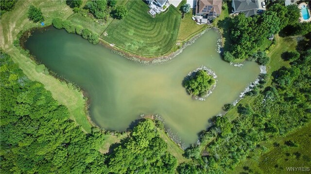 81 Hidden Oaks Ct, Grand Island, NY 14072 - aerial view of property's location featuring a large body of water