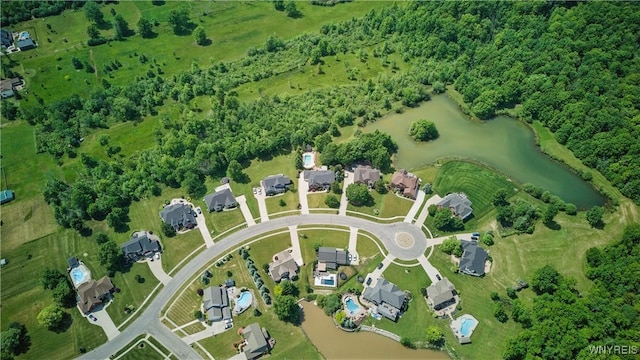 81 Hidden Oaks Ct, Grand Island, NY 14072 - aerial overview of property's location