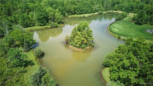 81 Hidden Oaks Ct, Grand Island, NY 14072 - drone / aerial view of a nearby body of water