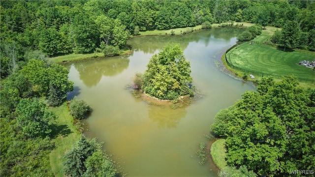 81 Hidden Oaks Ct, Grand Island, NY 14072 - photo 44