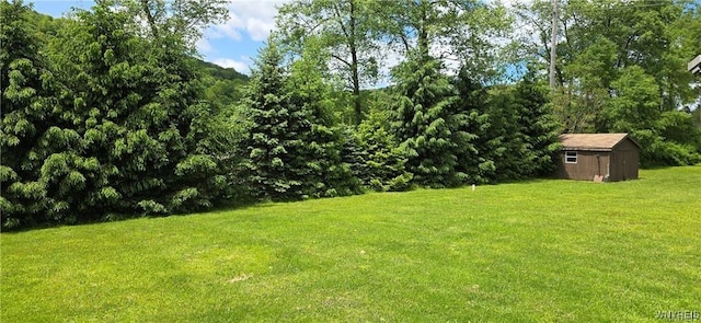 5751 Clark Rd, Great Valley, NY 14741 - photo 44