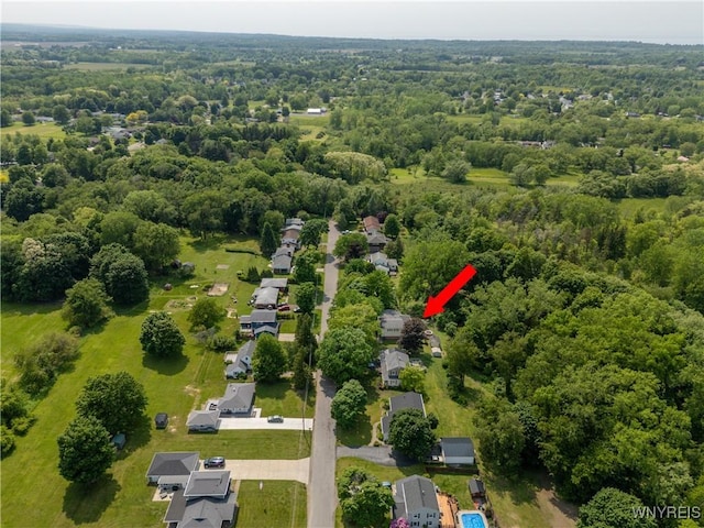 14 Westerly Dr, Pomfret, NY 14063 - photo 40