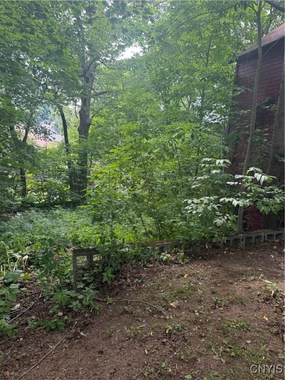 214-16 Reed Ave, Syracuse, NY 13207 - view of woods