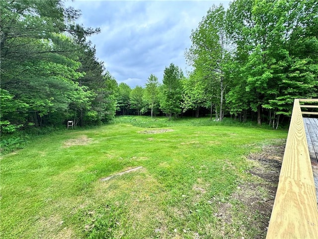 292 Eminence Rd, Summit, NY 12175 - photo 2