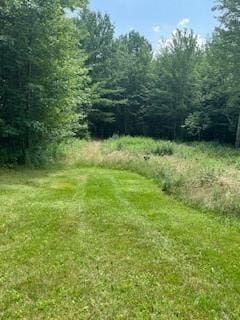 292 Eminence Rd, Summit, NY 12175 - photo 3