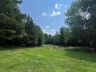 292 Eminence Rd, Summit, NY 12175 - photo 5