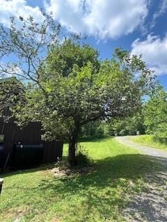 292 Eminence Rd, Summit, NY 12175 - photo 8