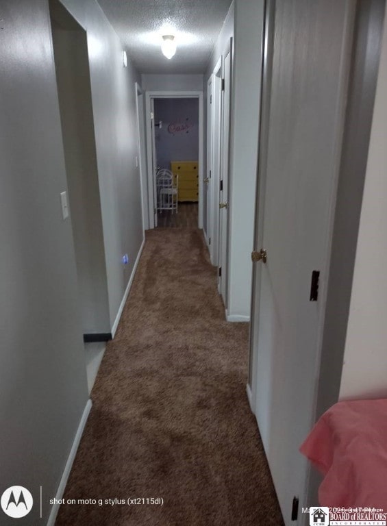 613 N Main St, Pine Grove Township, PA 16345 - hallway with carpet and a textured ceiling