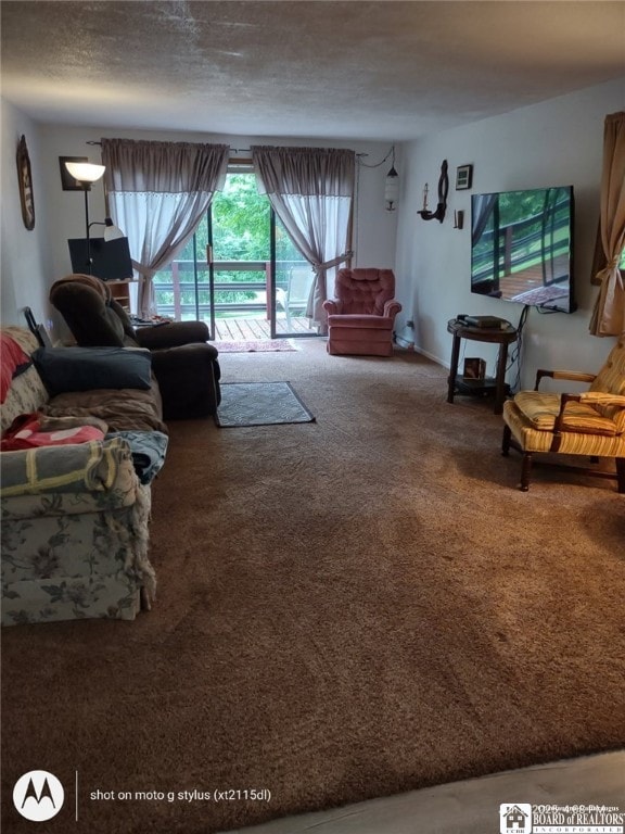 613 N Main St, Pine Grove Township, PA 16345 - living room featuring carpet