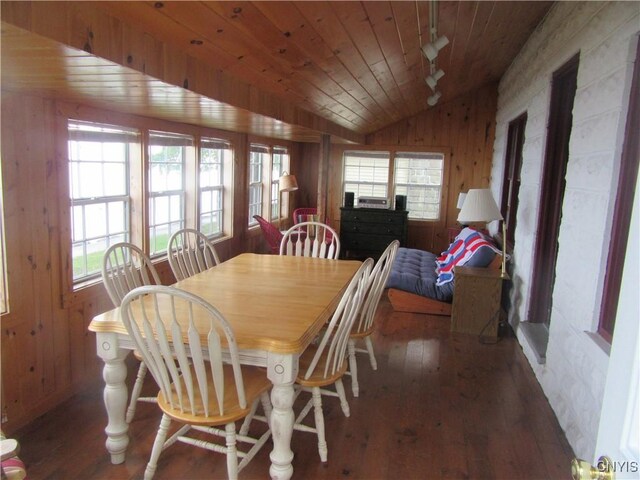 250 Pine Grove Rd Unit 3, Richland, NY 13142 - dining room featuring vaulted ceiling, track lighting, wood-type flooring, wood ceiling, and wooden walls