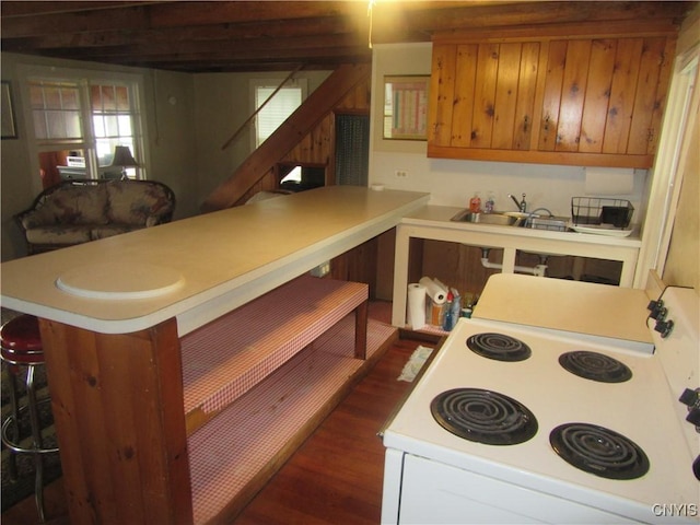 250 Pine Grove Rd Unit 3, Richland, NY 13142 - kitchen featuring electric range, a peninsula, dark wood finished floors, light countertops, and a sink