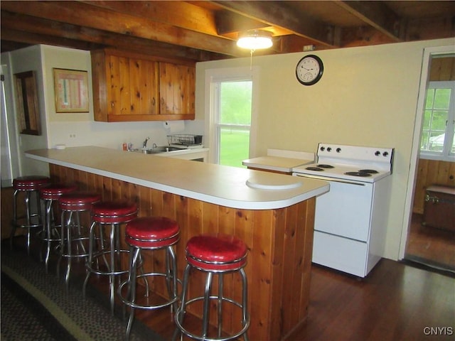 250 Pine Grove Rd Unit 3, Richland, NY 13142 - kitchen with electric range, dark wood-style flooring, light countertops, a sink, and a peninsula