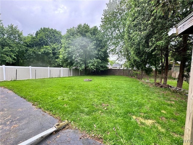 104 Lansdale Rd, Dewitt, NY 13057 - view of yard