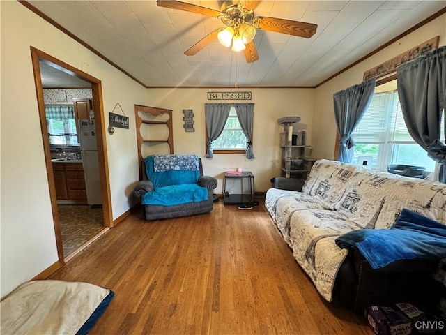 104 Lansdale Rd, Dewitt, NY 13057 - living area featuring ornamental molding, plenty of natural light, wood finished floors, a ceiling fan, and baseboards