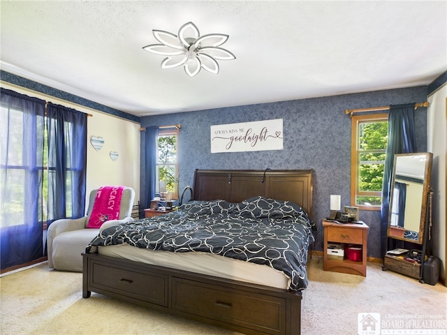 158 Hawthorn Ln, Allegany, NY 14706 - photo 11