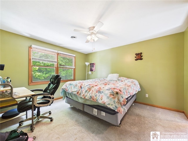 158 Hawthorn Ln, Allegany, NY 14706 - photo 36