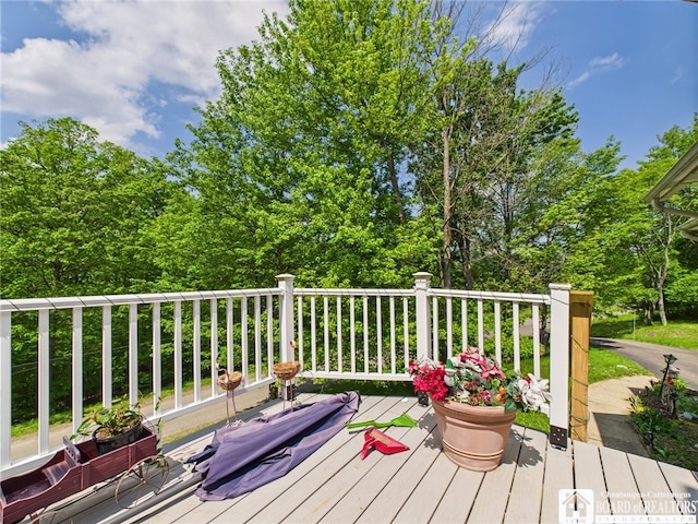 158 Hawthorn Ln, Allegany, NY 14706 - photo 41