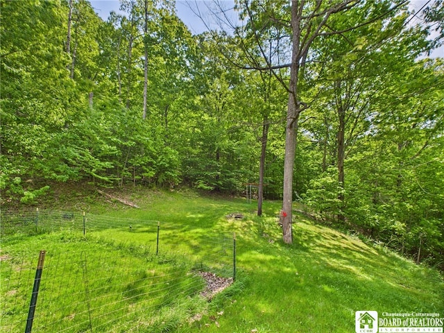 158 Hawthorn Ln, Allegany, NY 14706 - photo 42
