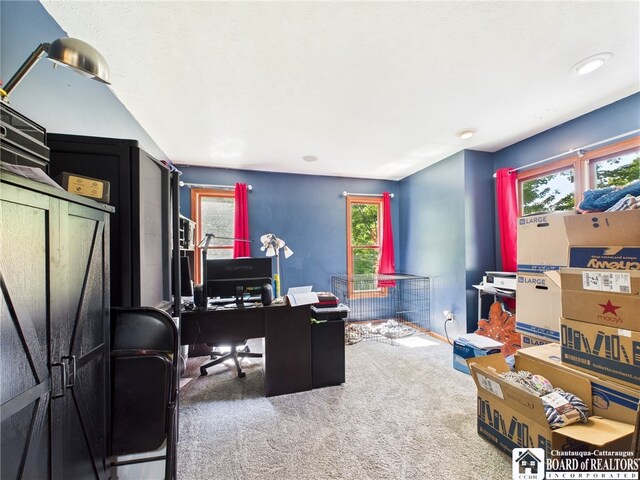 158 Hawthorn Ln, Allegany, NY 14706 - photo 19