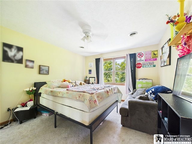 158 Hawthorn Ln, Allegany, NY 14706 - photo 30