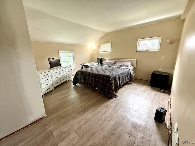 306 Seymour St, Auburn, NY 13021 - bedroom with wood finished floors and vaulted ceiling