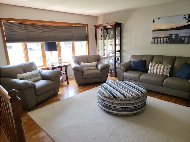 76 Belaire Dr, Big Flats, NY 14845 - living area featuring wood finished floors