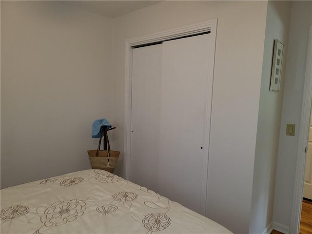 76 Belaire Dr, Big Flats, NY 14845 - bedroom featuring a closet