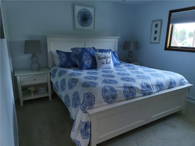 76 Belaire Dr, Big Flats, NY 14845 - view of carpeted bedroom