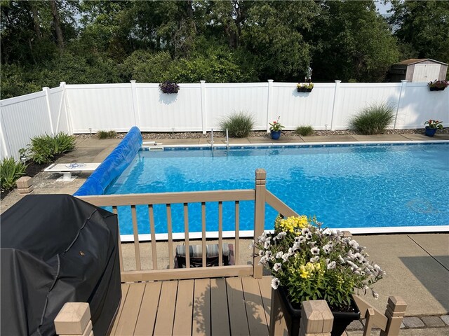 76 Belaire Dr, Big Flats, NY 14845 - view of swimming pool featuring area for grilling, a fenced backyard, and view of scattered trees