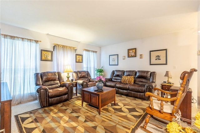 286 Troup St, Rochester, NY 14608 - living room with healthy amount of natural light and light carpet