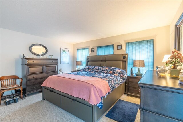 286 Troup St, Rochester, NY 14608 - bedroom with carpet floors