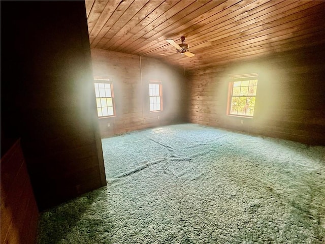 2095 Turnpike Rd, Throop, NY 13021 - spare room with wood ceiling, carpet flooring, healthy amount of natural light, and a ceiling fan