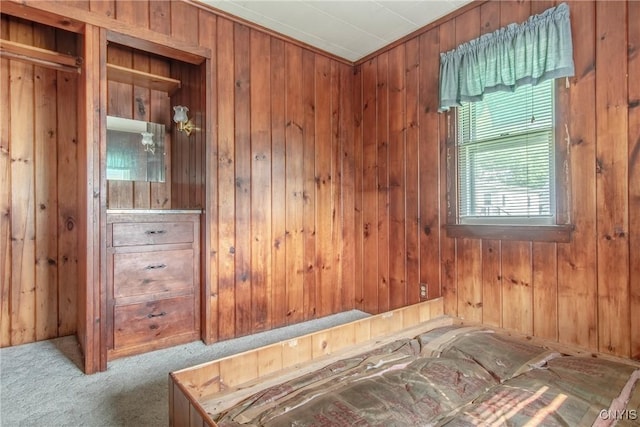 149 Centre St, Cape Vincent, NY 13618 - unfurnished bedroom featuring wood walls and carpet floors