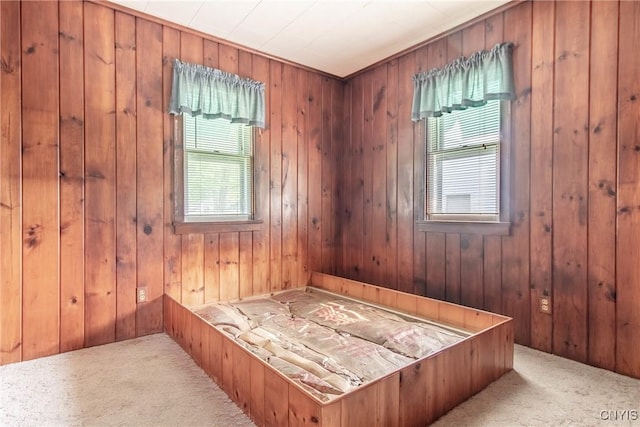 149 Centre St, Cape Vincent, NY 13618 - carpeted bedroom featuring multiple windows and wood walls