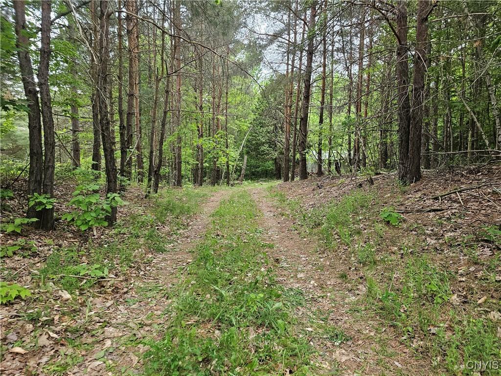 2765 State Highway 72, Hopkinton, NY 13676