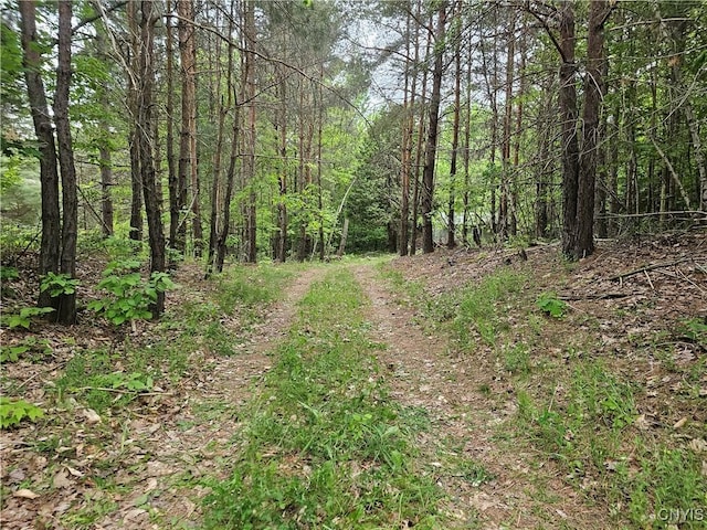 2765 State Highway 72, Hopkinton, NY 13676