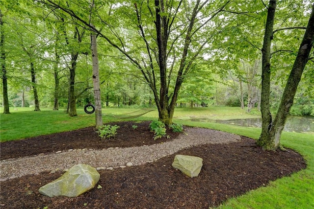 863 Rolins Run, Webster, NY 14580 - view of grassy yard