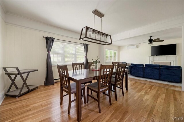 53 University Ave, Hamilton, NY 13346 - dining area with crown molding, a wall mounted air conditioner, light wood-type flooring, ceiling fan, and a fireplace